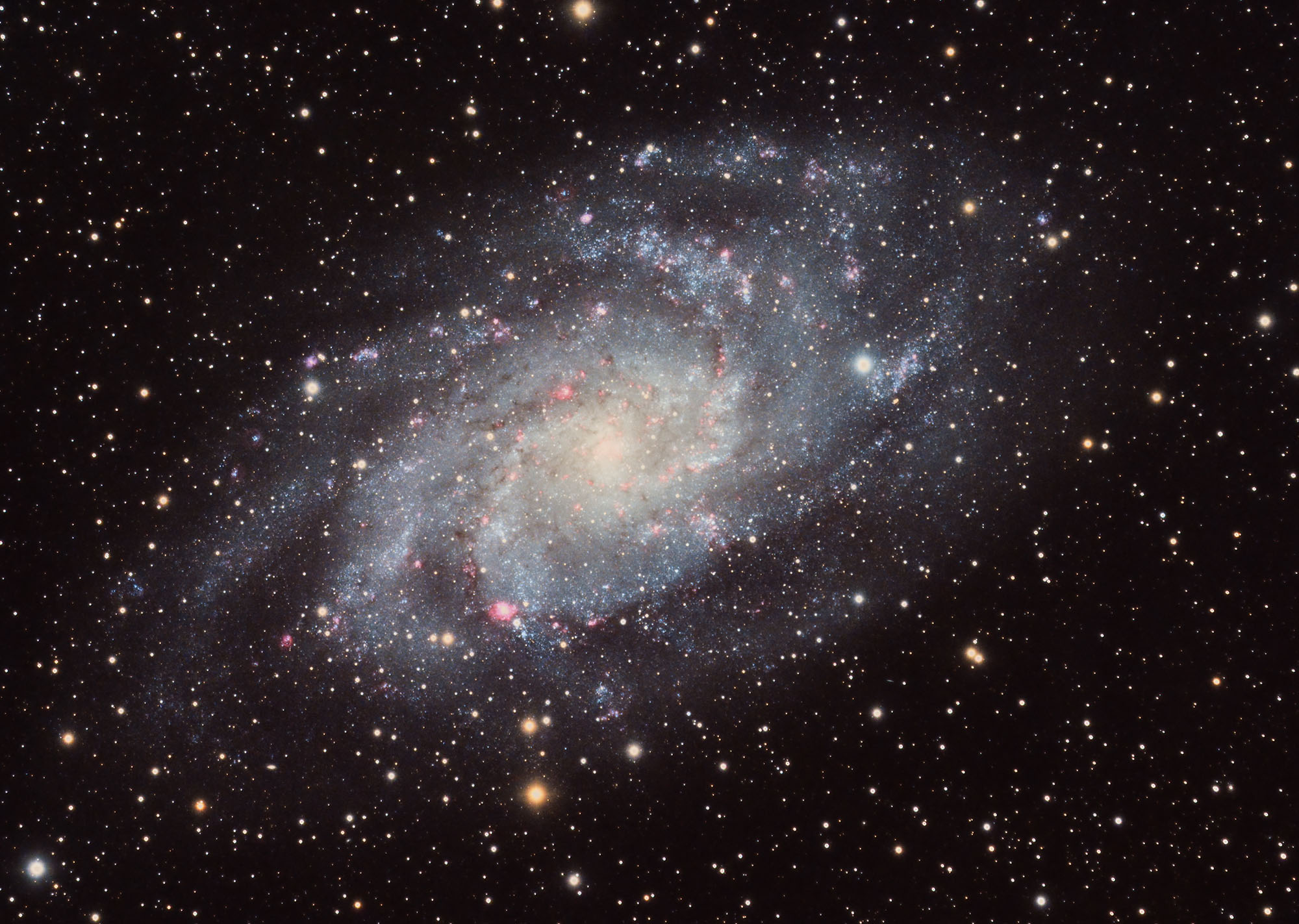 M33